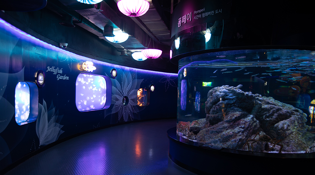 Coex Aquarium Introduce 14 Garden Of Jellyfish